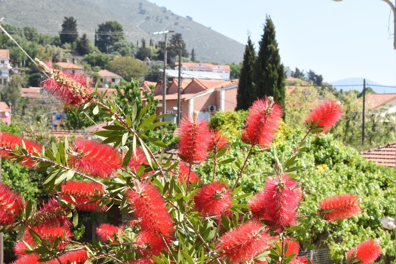Starvillas Apartments And Studios Agia Efimia Luaran gambar