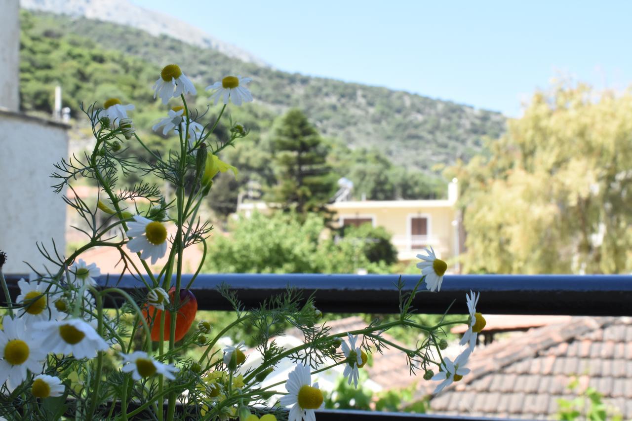 Starvillas Apartments And Studios Agia Efimia Luaran gambar